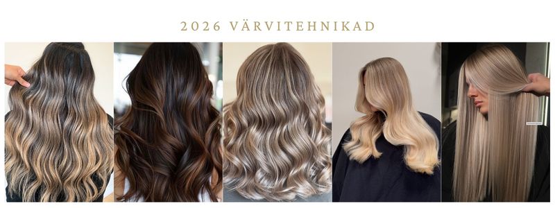 2026 on juuksemoes sujuvad, õhulised ja ühtlased värvitehnikad.